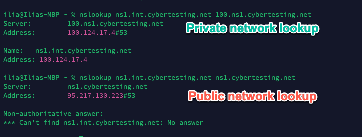 A blank record when querying split horizon
